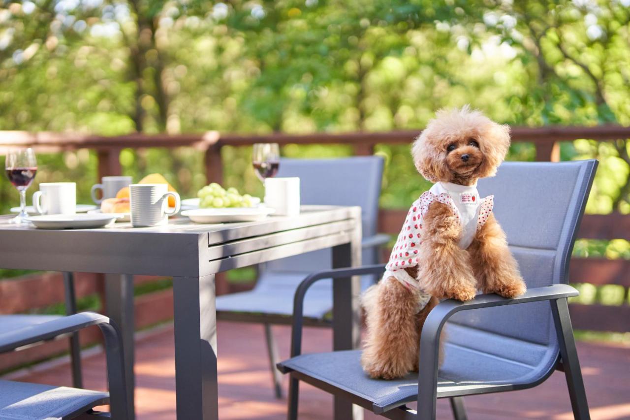 Suite Villa Nasukogen Doggy'S Ohana エクステリア 写真
